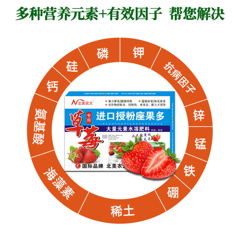 草莓专用进口授粉座果多 草莓催花授粉座果素保花保果增产叶面肥