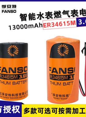 孚安特ER34615M智能水表流量计PLC物联网1号D型3.6V锂电池组LSH20
