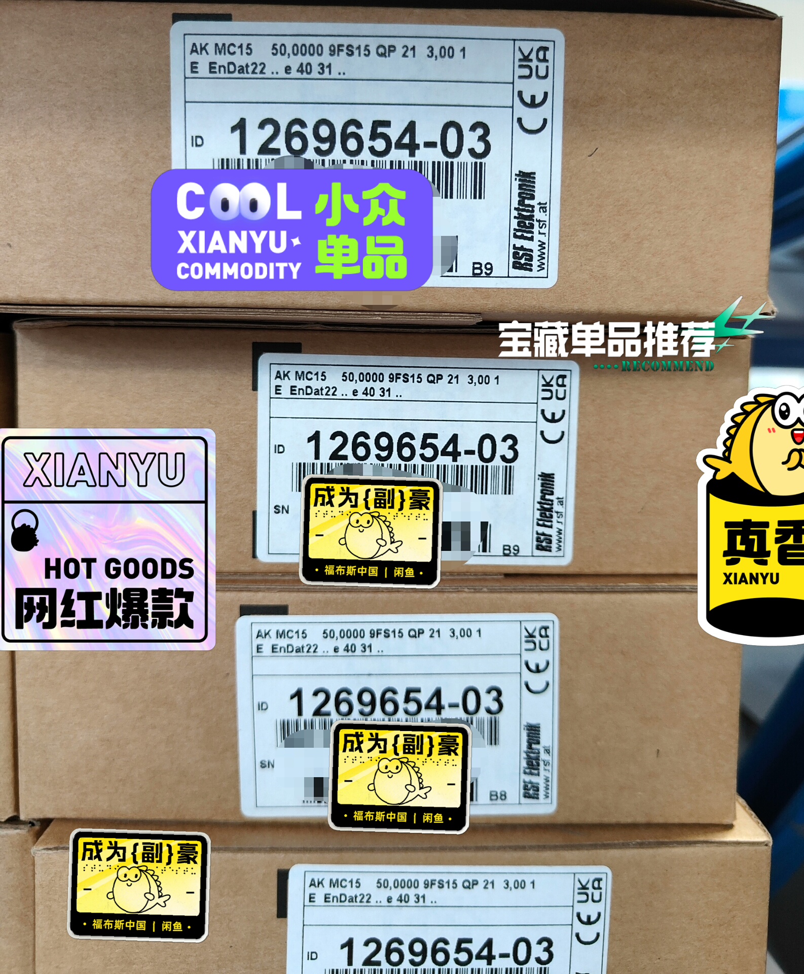 RSF Elektronik读数头AK MC15 50nm