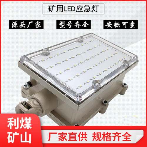 防爆灯DJS8/127Ｌ矿用隔爆兼本质型LED应急灯