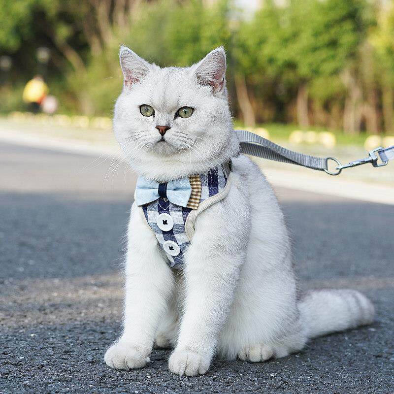 宠物猫咪牵引绳防挣脱背心式抱婴袋猫咪外出专用遛猫绳子栓猫炼子