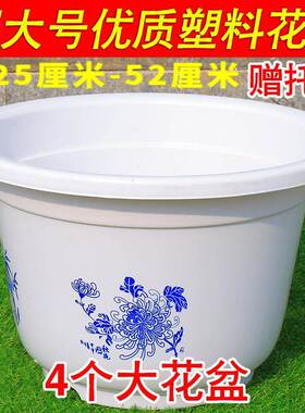 特大号加厚白色圆形塑料花盆睡莲果树绿植盆栽花卉有孔无孔包邮