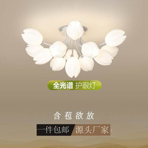 全光谱护眼玉兰花客厅灯 现代简约法式轻奢卧室灯led奶油风吸顶灯