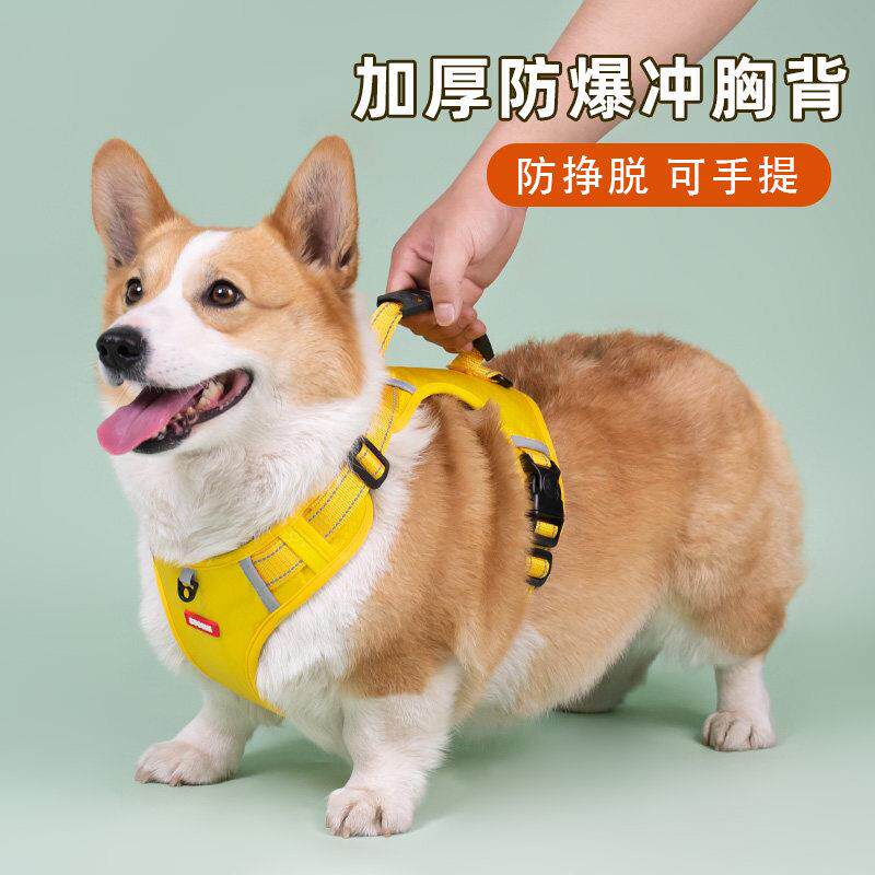宠物狗狗牵引绳柯基狗绳胸抱婴袋项圈小型犬背心式狗炼子遛狗中型