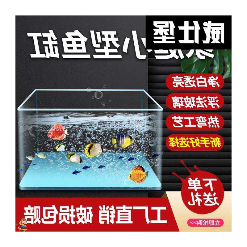 热弯浮法玻璃鱼缸客厅小型一体式成型钢化儿童鱼缸观赏家庭用鱼缸