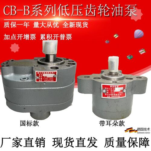 CB-B6/B10/B4/B16/B100/B25/B32/B40/B50/B63/B80/B125F齿轮油泵R