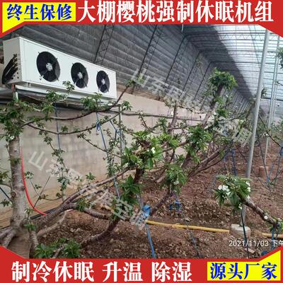 反季节大棚樱桃制冷机组7匹休眠升温除湿一体机大棚温控空调8匹