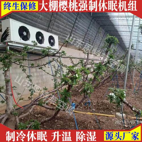 反季节大棚樱桃制冷机组7匹休眠升温除湿一体机大棚温控空调8匹