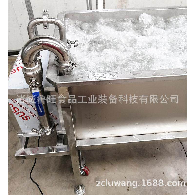 漩涡清洗机果蔬清洗专用设备清洗机直销保修一年解冻机