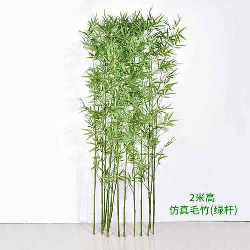 底座防隔断户外竹子竹子挡墙室内装饰真假仿真毛竹植物人造造景绿