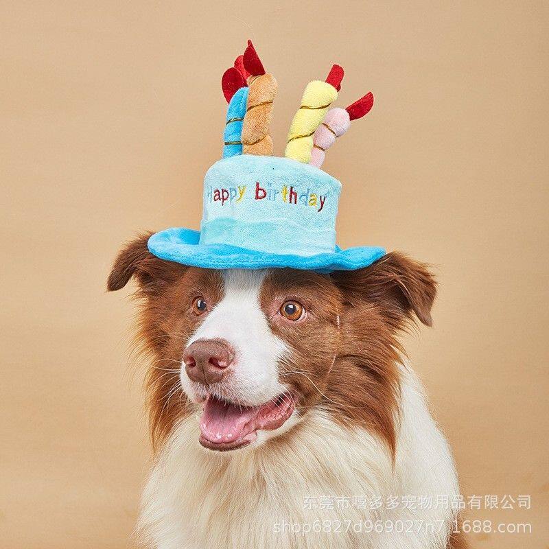 宠物生日帽子玩具 猫咪狗狗新年礼物玩具亚马逊爆款新款