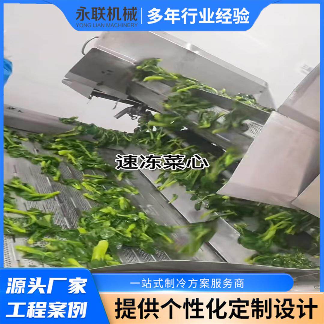 速冻菜心油菜花生产车间现场 农产品深加工流水线冷冻食品加工机