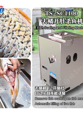海鱼去鳞开肚杀鱼机 淡水鱼去鳞开肚设备 不锈钢杀鱼机 水产加工