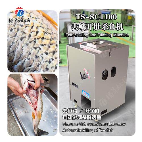 海鱼去鳞开肚杀鱼机 淡水鱼去鳞开肚设备 不锈钢杀鱼机 水产加工