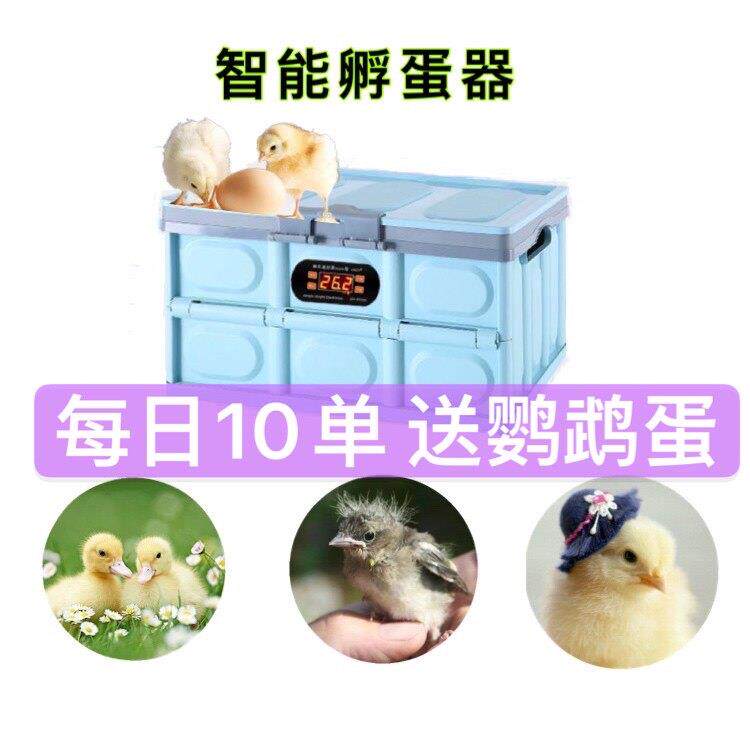 孵化器小型家用型全自动智能孵蛋器鸡鸭鹅鸽子蛋迷你孵化机孵化箱