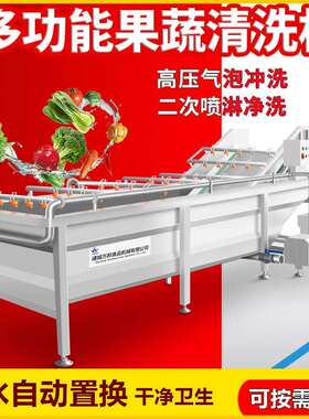 SMJ商用商全自动果蔬气泡清洗机气泡泥清洗设备豆用油菜毛去机器