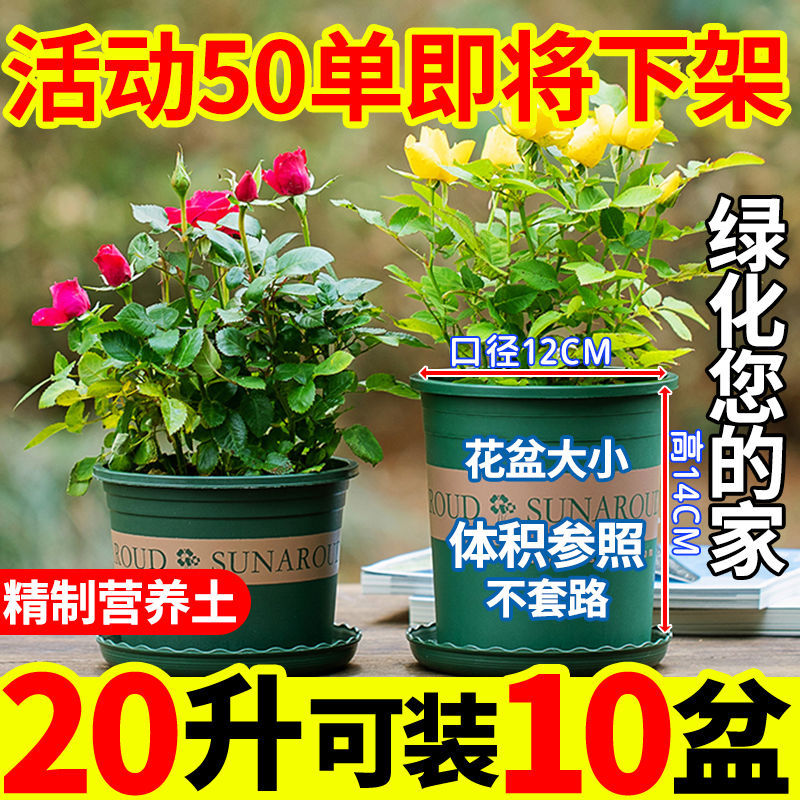 营养四季种菜土壤疏松栽培基质