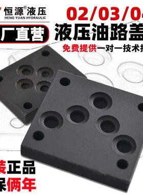 DSG电磁阀盖板6/10/16通径DSG02/03/04系列4WE6/10/16油路块盖板