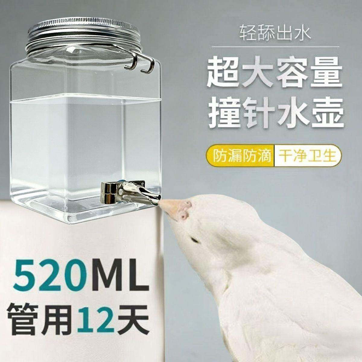 兔子水壶鹦鹉饮水器撞针牡丹玄凤宠物金丝熊荷兰猪龙猫自动喂水器