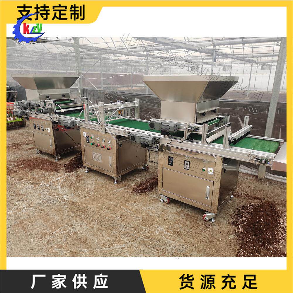 铺土压穴播种一体机全自动穴盘育苗播种机农业用种子穴盘育苗机