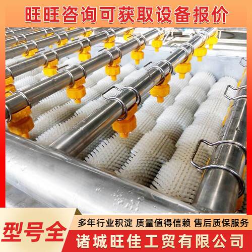 橙子柑橘平行毛辊清洗机生蚝扇贝毛刷去泥机红薯土豆清洗机设备