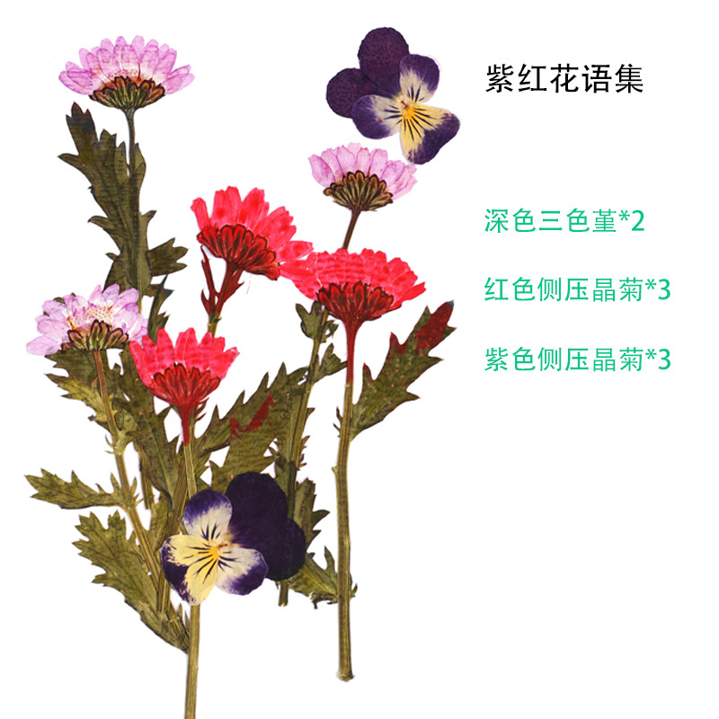 树叶粘贴画枫叶幼儿园标本手工diy梧桐叶银杏叶压花植物书签叶子