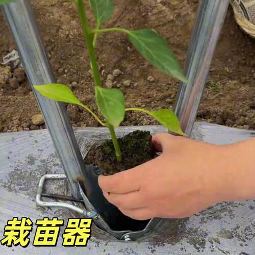 移苗神器栽苗工具农用蔬菜玉米移栽辣椒手动种菜移植万能专用新款 - 封面