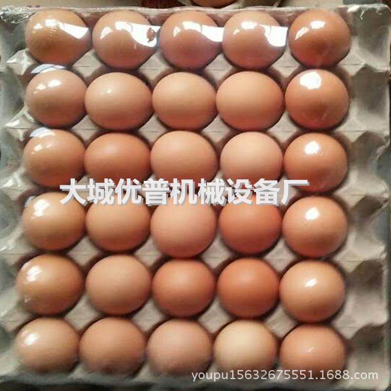 镇平小型蛋托热缩膜封口机pof膜包机自动热收缩包装机械设备