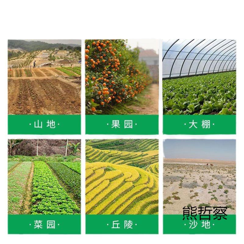 播种器手动花玉米大豆黄花生手提点播种地手提式播种自动