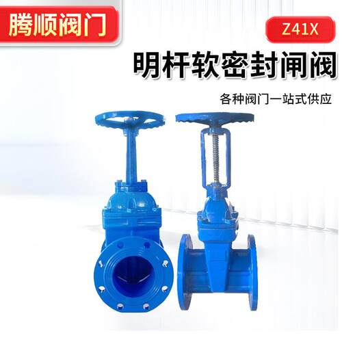 明杆软密封闸阀Z41X球墨铸铁法兰闸阀弹性座封阀门