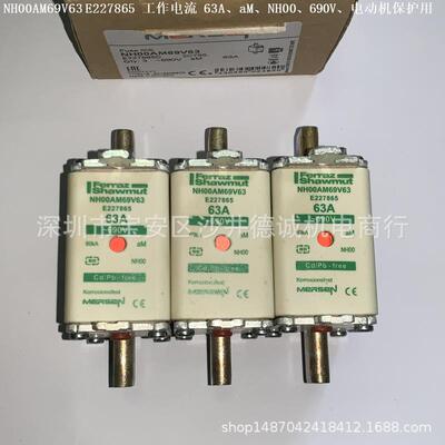 NH000AM69V32X227858熔断器32A、NH000、aM、690V、电动机保护