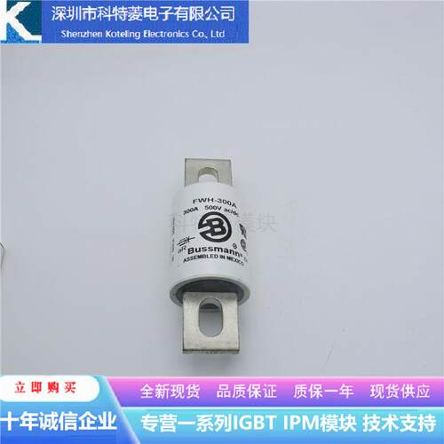 FWH-300A巴斯曼高压直流熔断器保险丝300A-500V保险管