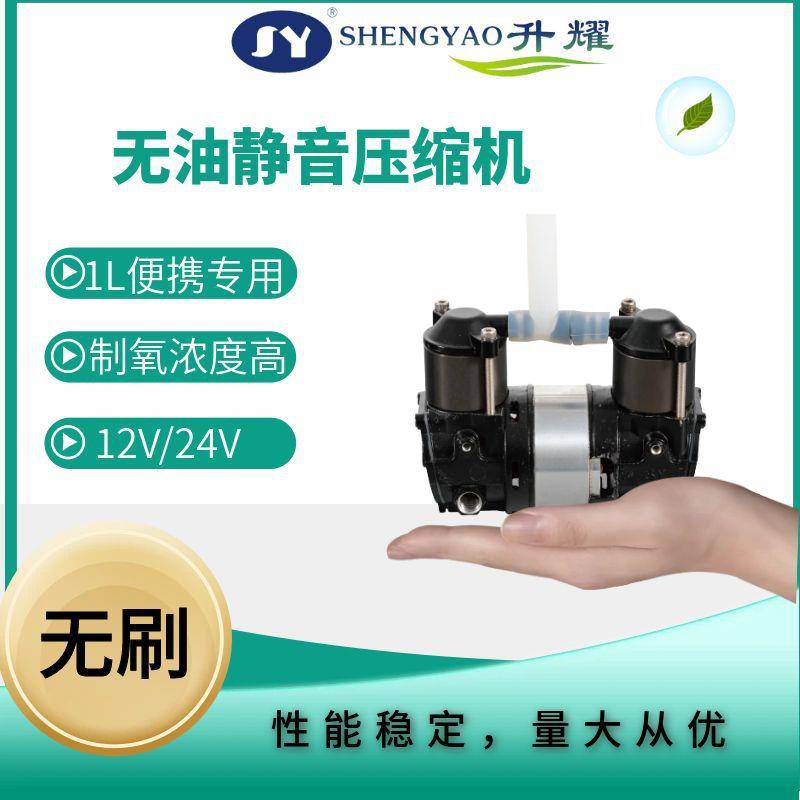 源头厂家无油静音气泵压缩机直流便携制氧机空气压缩机12V/24V