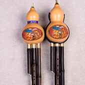 初学成人学调生 器紫竹葫芦丝C调降B小D调GF调套新装 正品 云乐南款