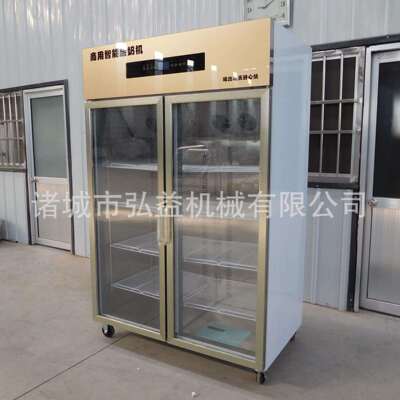 商用全自动大酵容量奶机NMK 智能恒酸温水果捞酒发酵柜 老酸奶发
