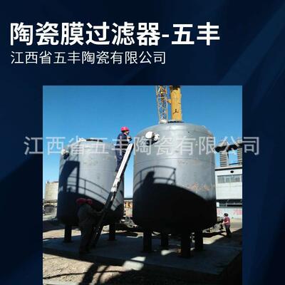 陶瓷膜过滤器 化工循环水剩余氨水处量设备 刚玉质陶瓷滤芯微孔过