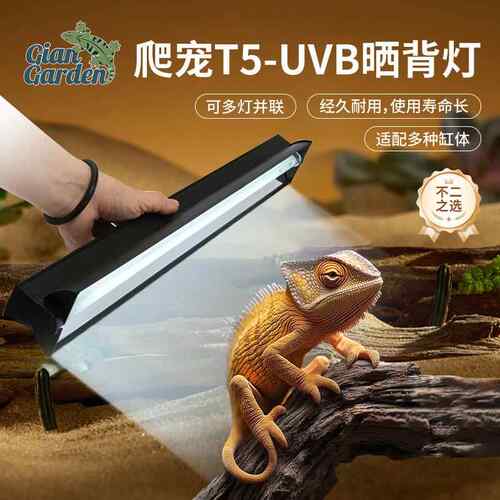 Giangarden巨人爬宠uvb补钙灯T5灯管蜥蜴乌龟晒背灯LED爬宠造景灯