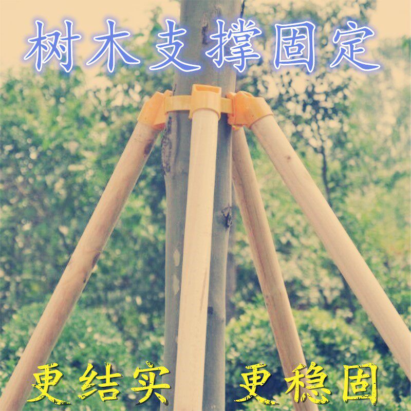 皮带扣树木支撑支撑其它园艺用品