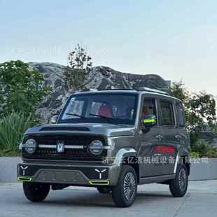 新电能源家用代步车油AQL两用轿车款老乐越新野电动四轮汽车头成