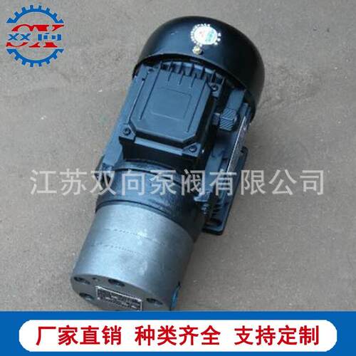 厂家销售NYB-5JZ可逆双向润滑油泵电机装置减速机轴承润滑泵