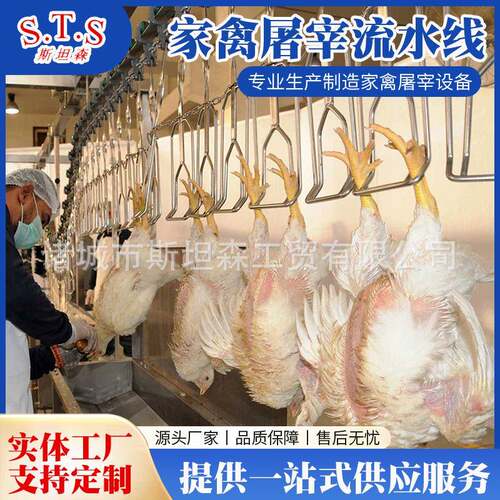 自动鸭胚生产流水线设备 北京填鸭屠宰流水线 鸭屠宰设备