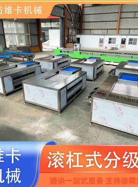 荔枝直径选果机 胡萝卜大小分选机小型家用水果分拣机 山东源头厂