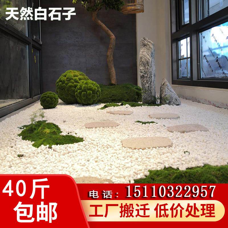 江西白石子鹅卵石小白石头多肉铺面庭院造景雨花石鹅软暖石装饰