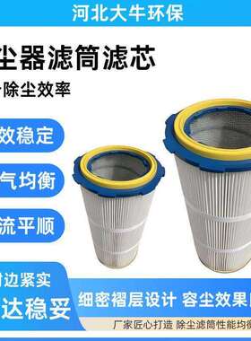 工除尘业滤芯耐温防静无506除尘电器滤筒纺布除尘滤芯