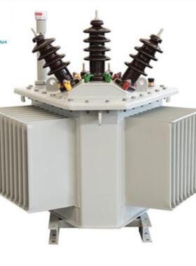 生产S20-10KV250KVA油浸式电力变压器S20电力变压器生产厂家