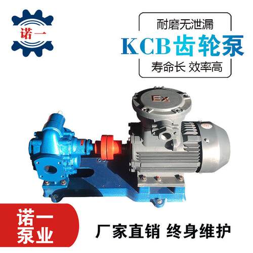 铸铁材质齿轮油泵自吸式铜齿轮抽油泵润滑机油无泄漏KCB齿轮泵