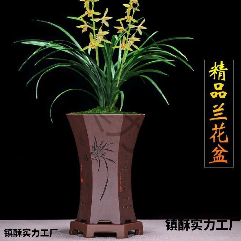 兰花专业盆精品紫砂兰花盆君子兰带托盘兰草盆景陶瓷盆栽室内客厅