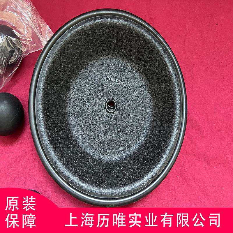 Versa-Matic威马气动隔膜泵E4AA1R119-B隔膜泵配件 库存充足