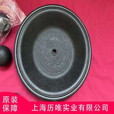 Versa-Matic威马气动隔膜泵E4AA1R119-B隔膜泵配件 库存充足