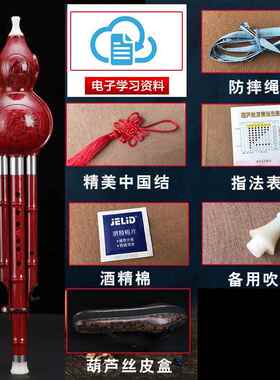 高档胶木耐摔葫芦丝中初学者儿童学生c调大人降小b乐调儿童器成人